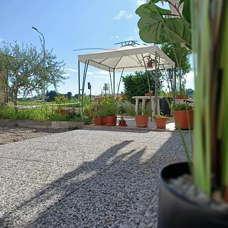 Faty Fleur J&f * Oleggio